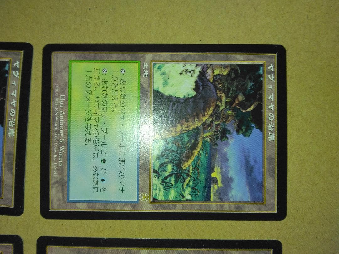 ヤヴィマヤの沿岸 Yavimaya Coast 日本語4枚 APC MTG