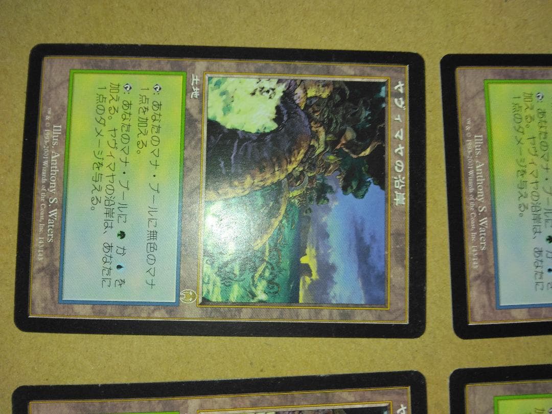 ヤヴィマヤの沿岸 Yavimaya Coast 日本語4枚 APC MTG