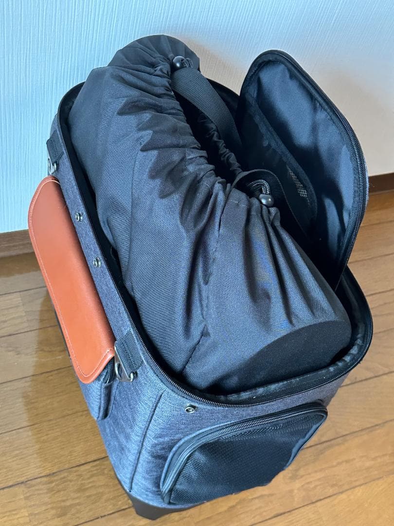  TAILS Alice チャコール 正規品 サンシェード付