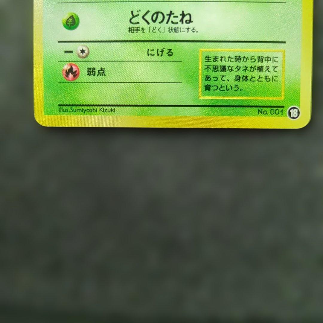 極美品✨　旧裏　フシギダネ　イントロパック