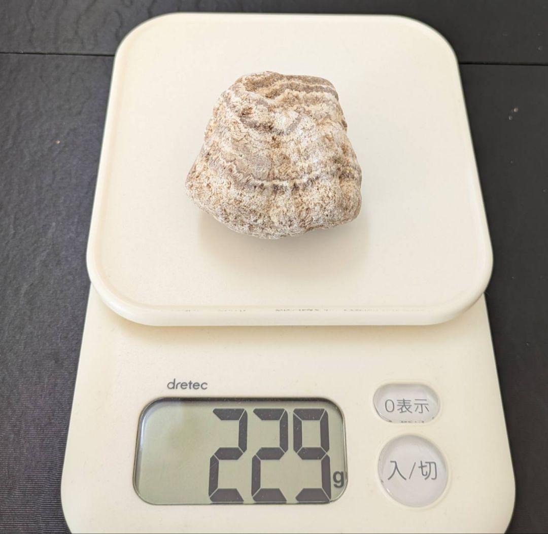 ★秋田発『北投石』２２９グラム 100%本物!! 玉川温泉産 ⛄️