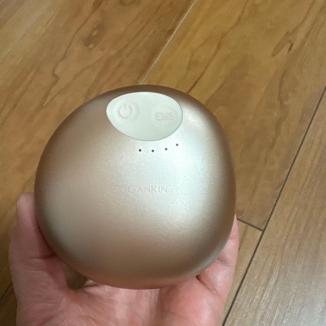 ZOGANKIN ゾーガンキンスカルプ