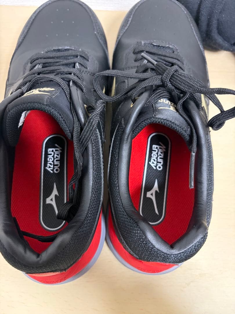 【新品未使用】安全靴MIZUNO ミズノ　F1GA240009