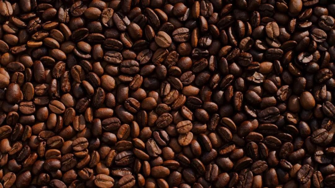 コスタコーヒー　シグネチャーブレンド　コーヒー豆　2000g