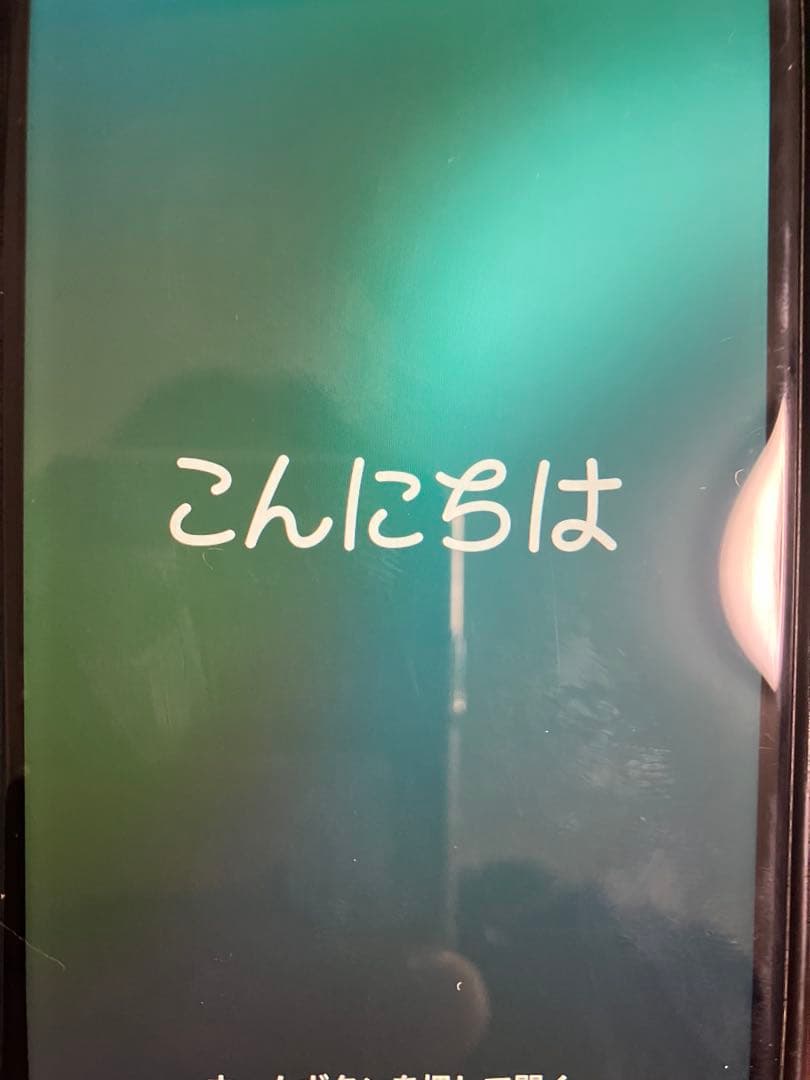 iPhone SE 第2世代 64GB 本体のみ ジャンク品　ケース付き