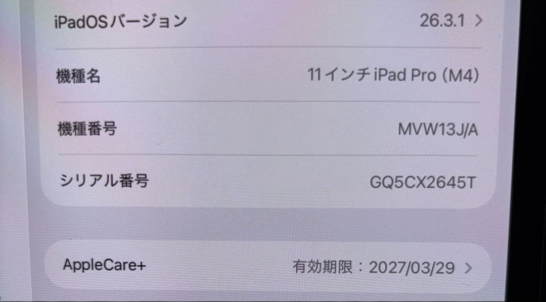 美品　ipad pro m4 11インチ セルラー 256GB