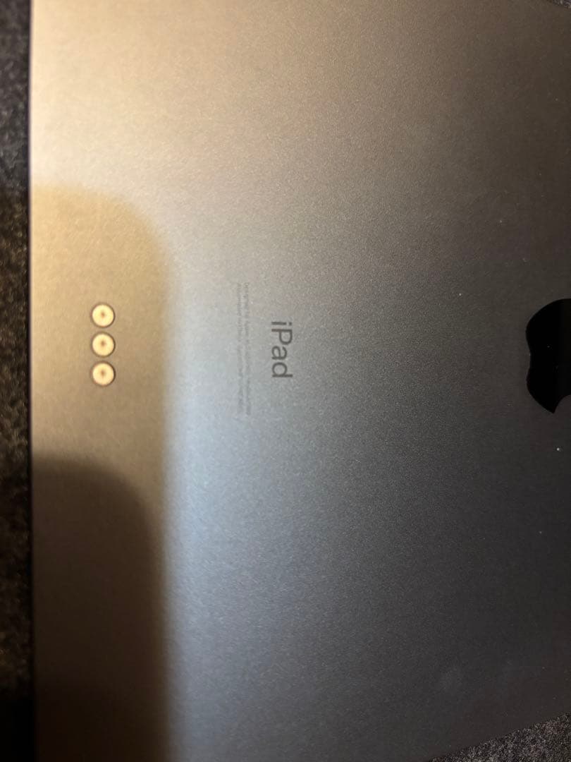 Ipad pro 本体　第一世代　256GB