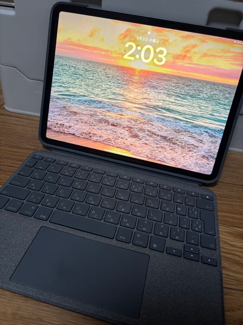 【あつし様】iPad Pro 11インチ スペースグレー 第1世代 64GB