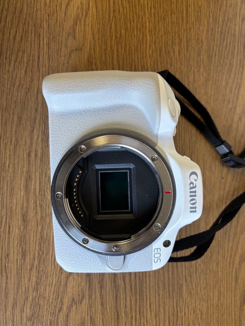 Canon EOS R50 ホワイト ミラーレスカメラ