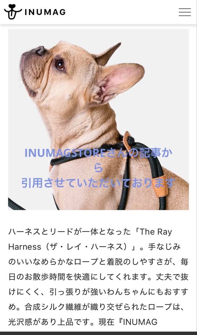 boo'oh リード一体型ハーネス　ブルー