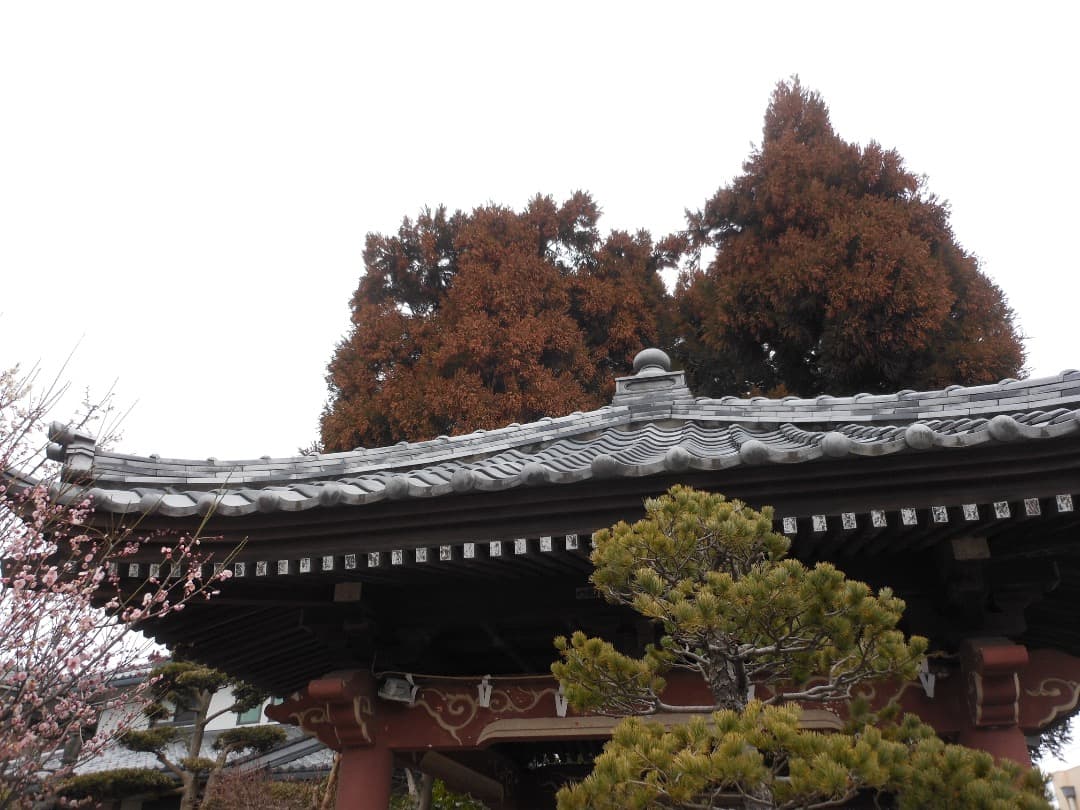 実写美⭕️【動作確認済】Nikon COOLPIX S6100 ブラック