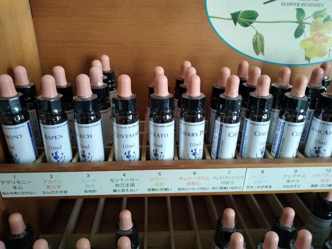 yumi@■1800+1700×3=6900■ヒーリングハーブス社フラワー