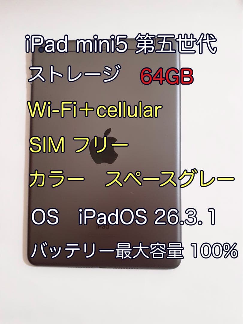 iPad mini5 第五世代 cellular 64GB スペースグレー