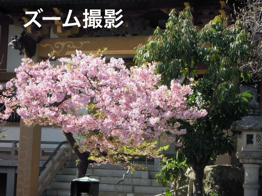 実写良⭕️【動作確認済】Nikon COOLPIX S640　レッド　デジカメ