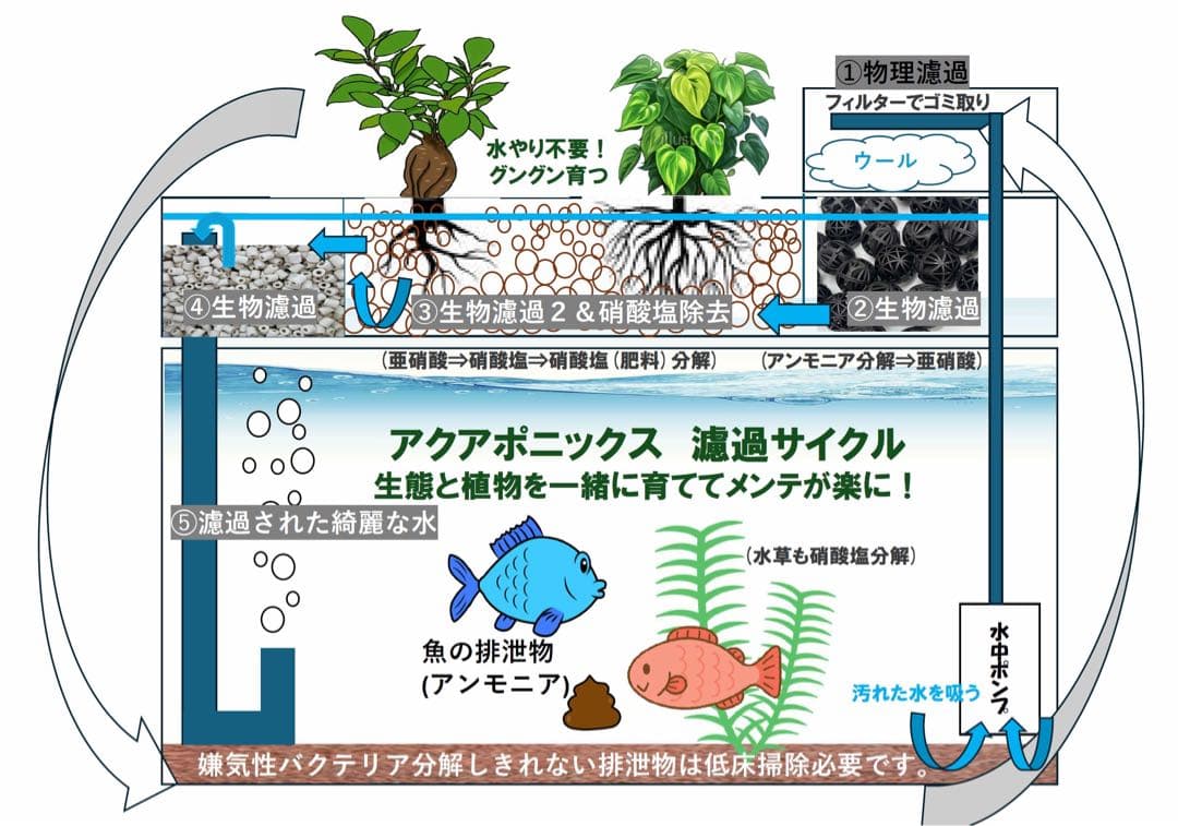 【未使用品】60㎝ガラス水槽用　上部濾過アクアポニックス仕様