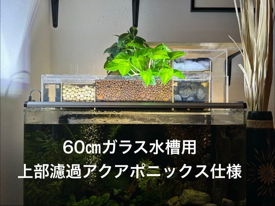 【未使用品】60㎝ガラス水槽用　上部濾過アクアポニックス仕様