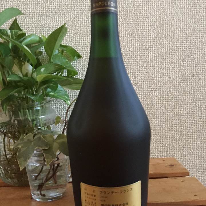 その他 NAPOLEON DEBUSSY