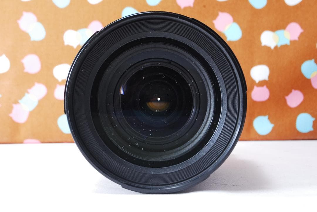 ✨美品✨万能レンズ付き✨Nikon D50 レンズセット
