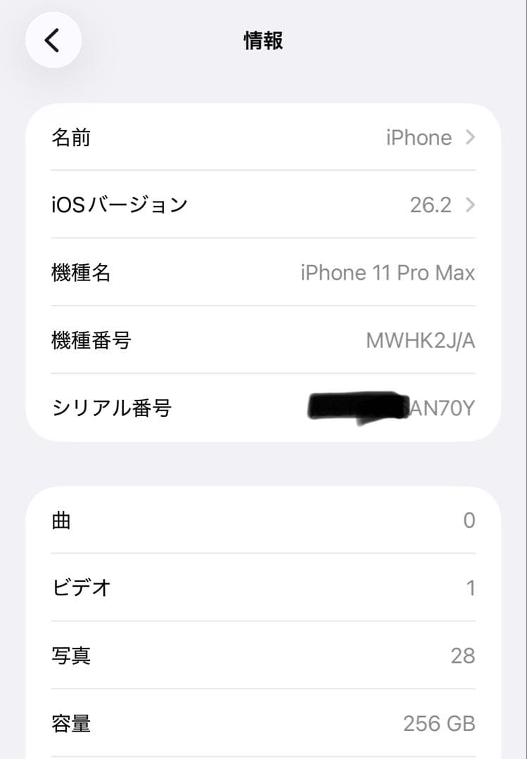 Apple iPhone 11 Pro Max 256GB SIMフリー