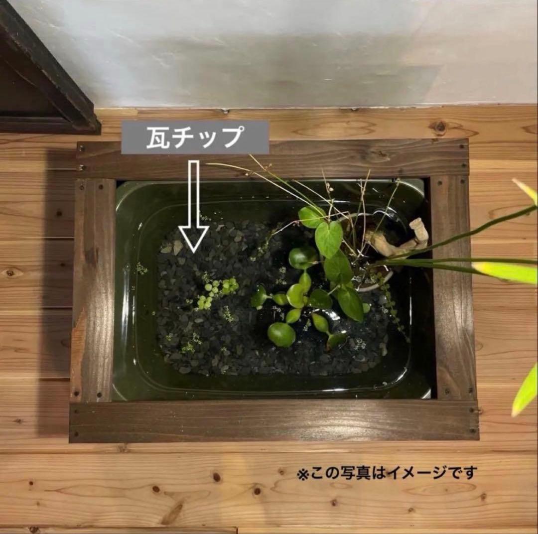 タライ 36L 木枠 低床セットメダカ 100％天然塗料 水槽 杉羽目板 素地