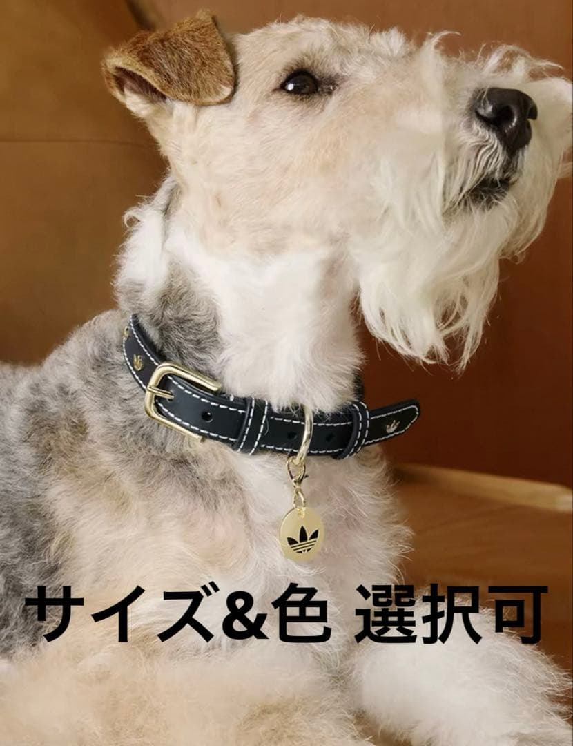 【正規新品】adidas ペット 首輪 犬猫兼用