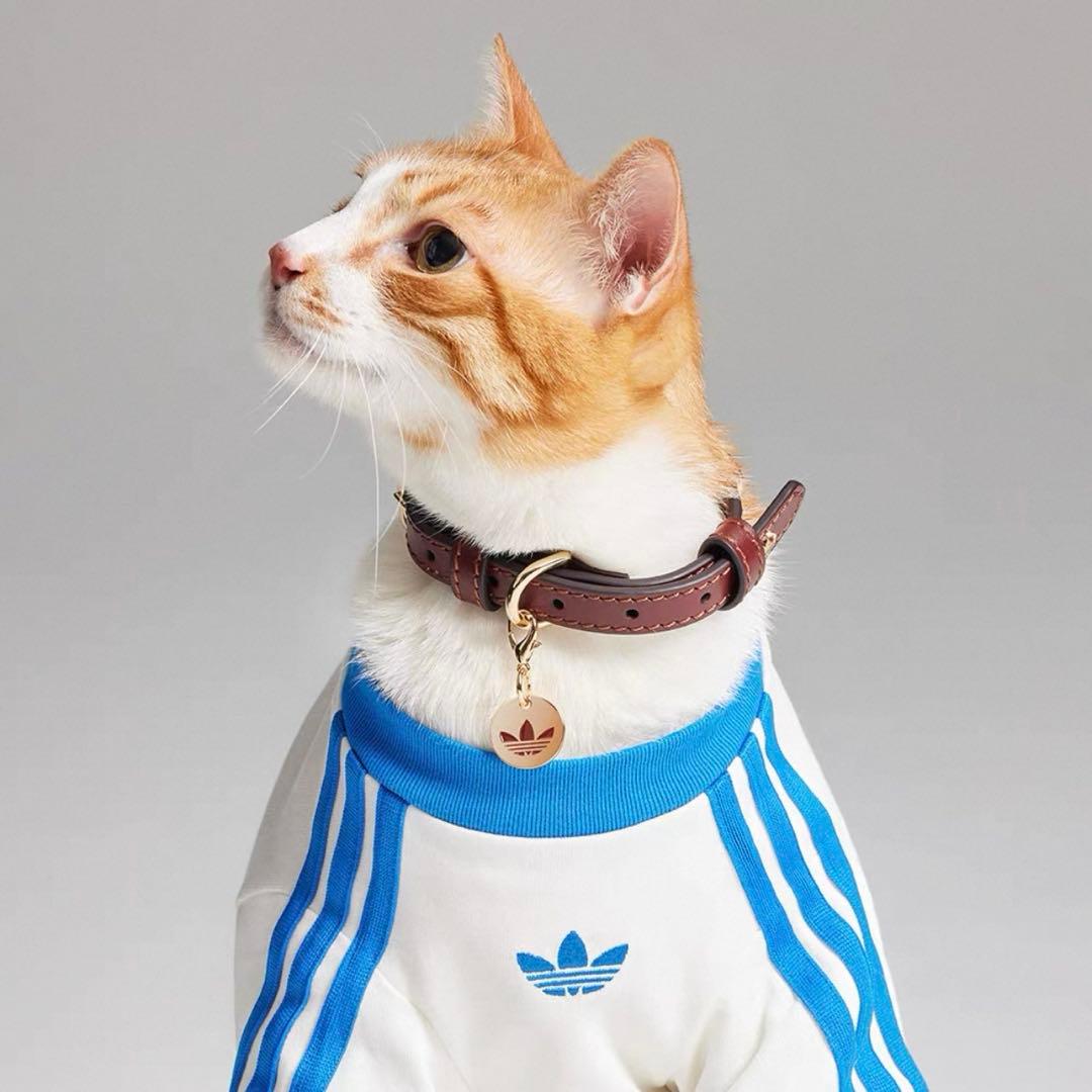 【正規新品】adidas ペット 首輪 犬猫兼用