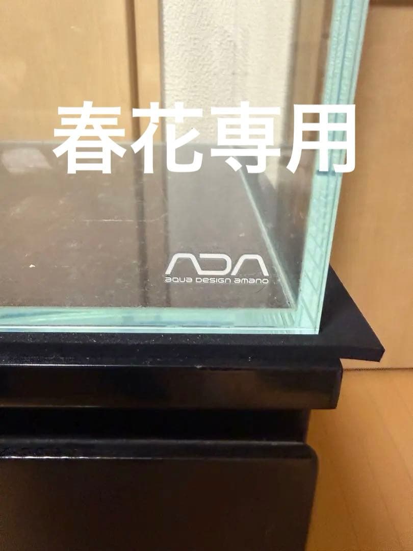 ADA ガラス水槽