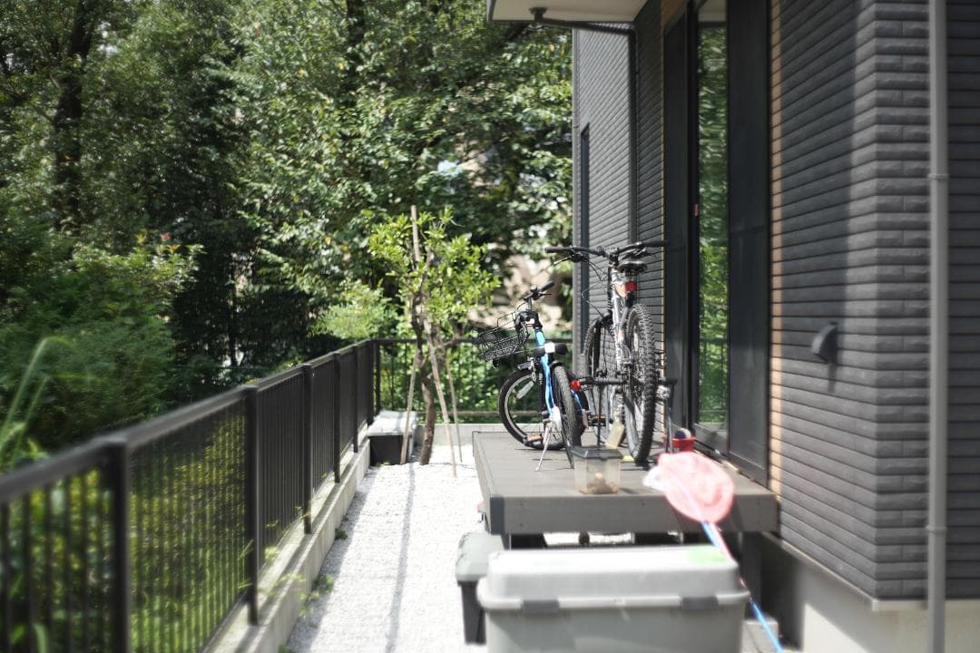 Jena Pancolar 50mm f2 整備済み