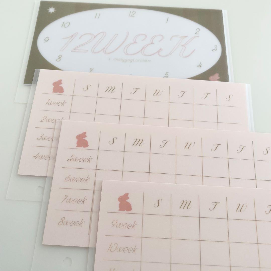 早い者勝ち　韓国　バインダー　貯金　リフィル　カバー　12week