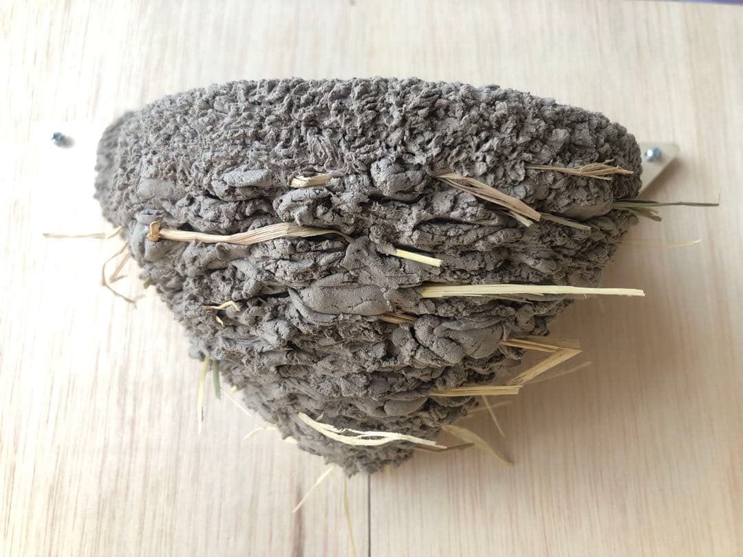 ツバメの人工巣　壁付け用タイプ板貼り付き　新品・未使用品　　26-g-4