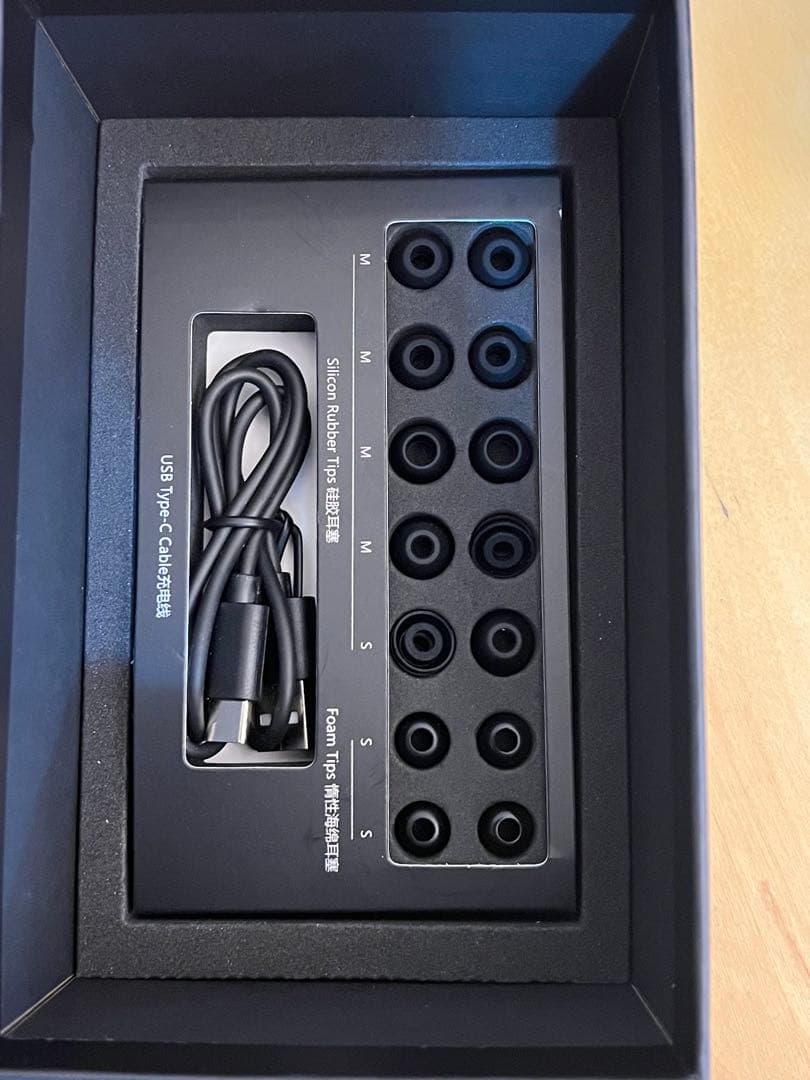 HIFIMAN Svanar Wireless ワイヤレスイヤホン最新ロット美品