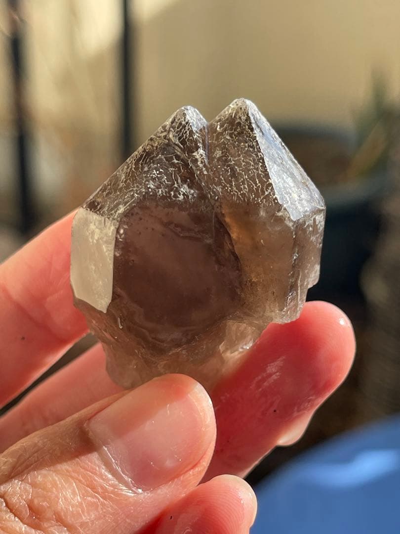 在庫整理特価 ベトナム産 ・スモーキークォーツ トルマリン入り結晶43点セット