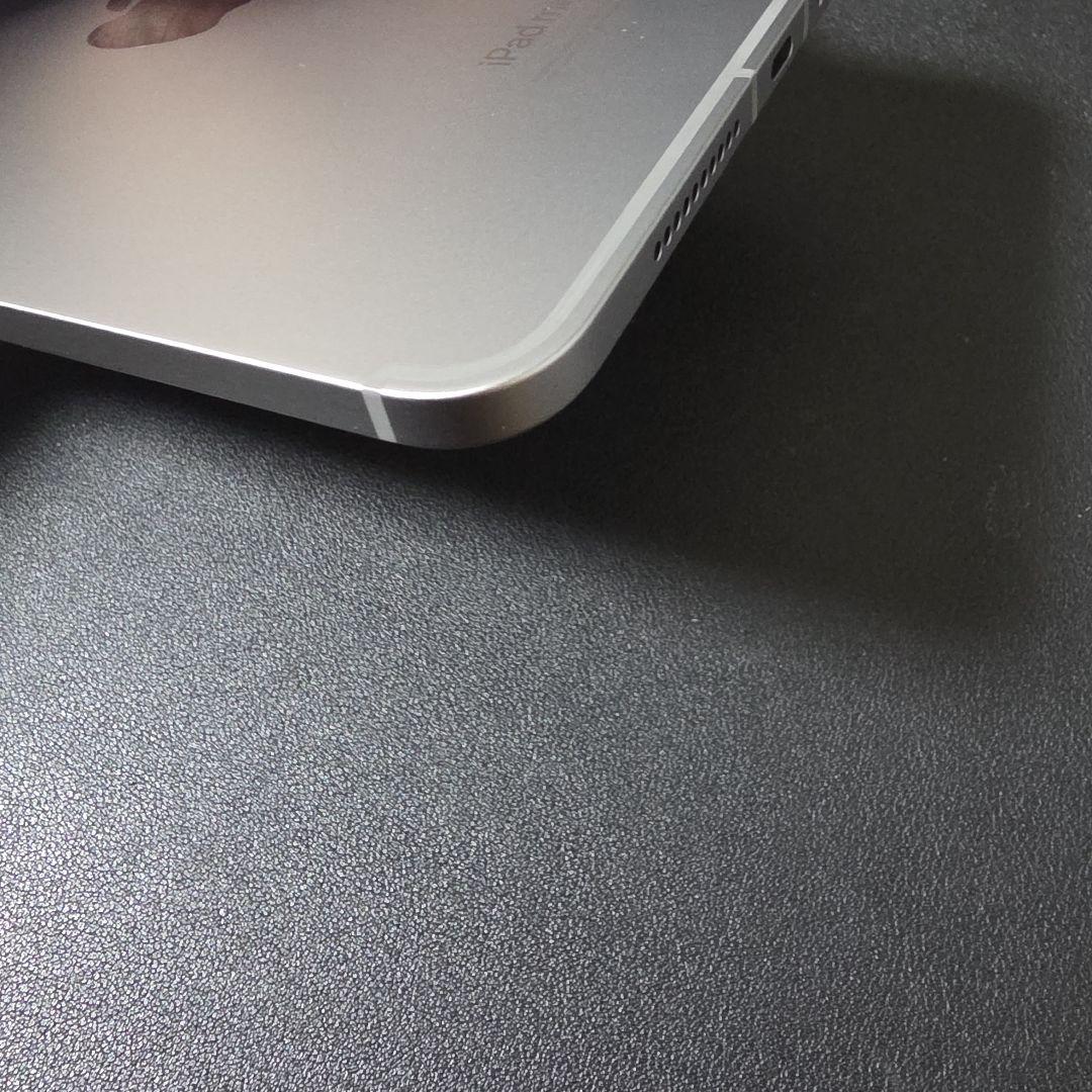 iPad本体 iPad mini A17pro 128GB Wi-Fi + Cellular