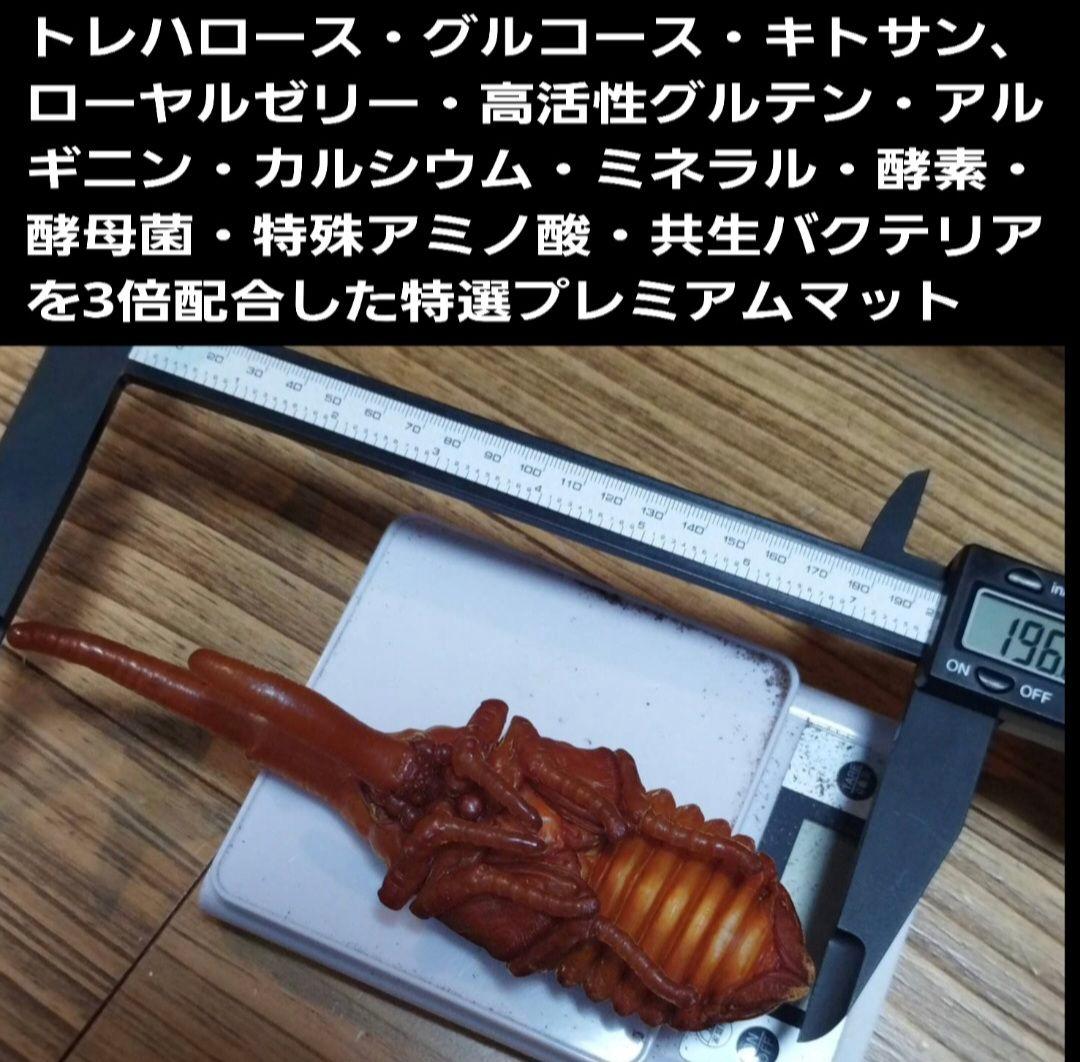 特大20Lボックス入【2ケース】プレミアム発酵マット☆カブトムシ幼虫を入れるだけ
