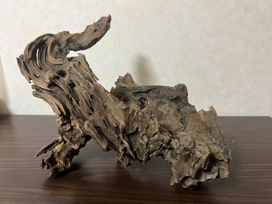 XM-326 流木マシンガンウッド　ブランチウッド　アクアリウム　沈水確認済