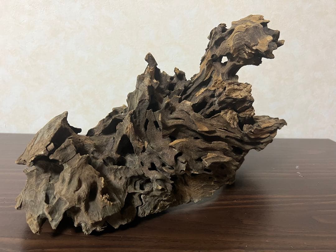 XM-326 流木マシンガンウッド　ブランチウッド　アクアリウム　沈水確認済