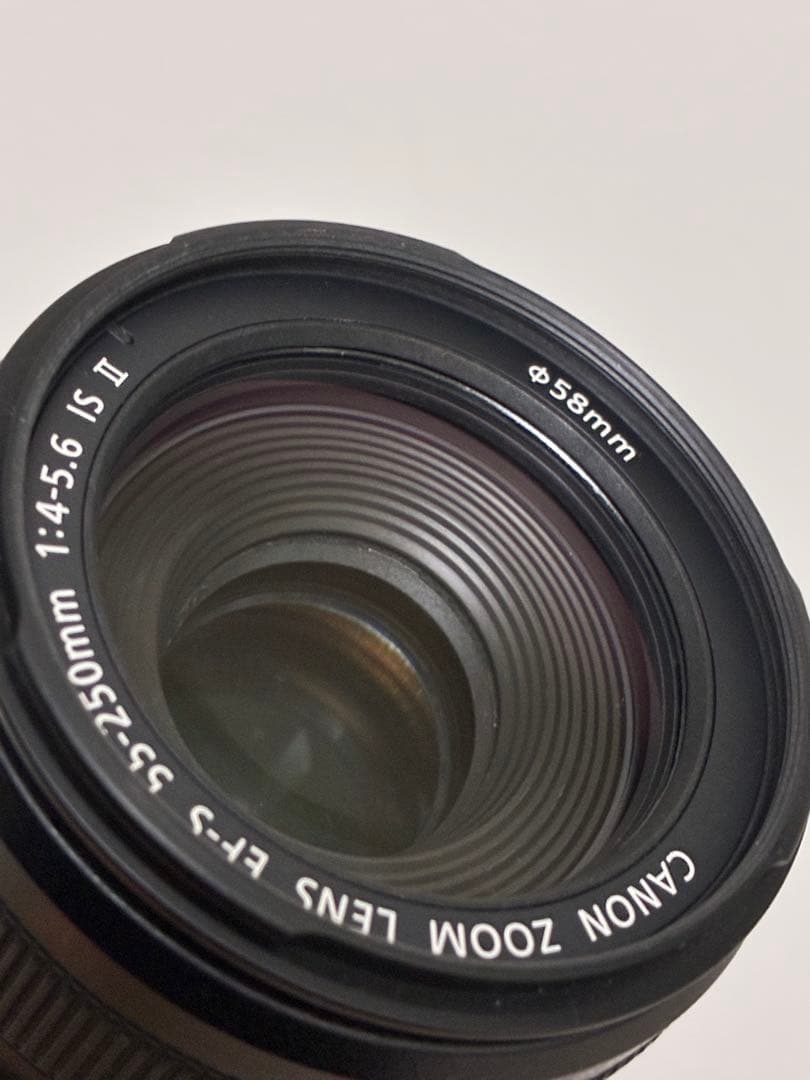⭐️美品⭐️ Canon EF-S 55-250mm IS II手ぶれ補正望遠レンズ