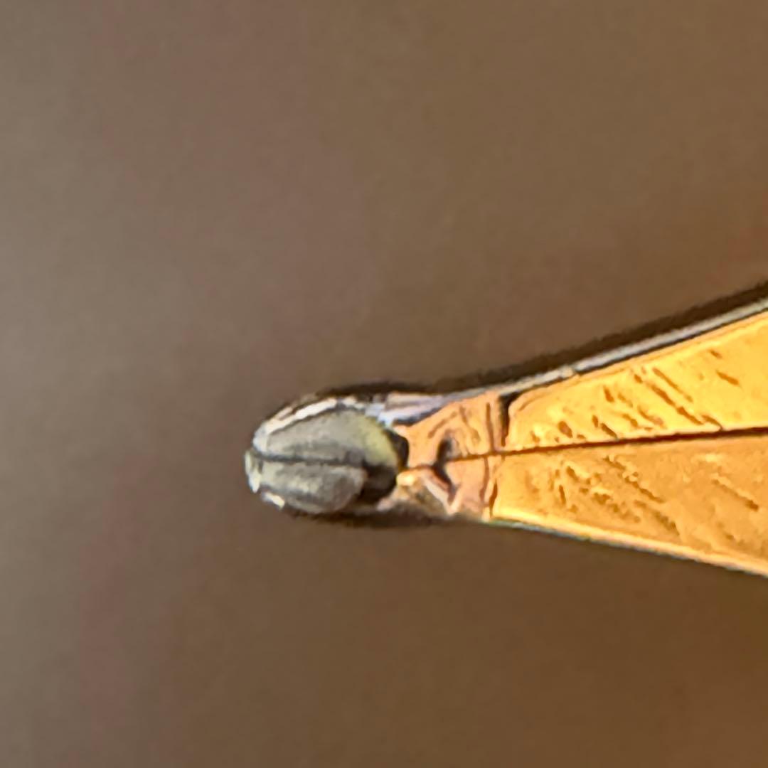 【訳あり】WATERMAN万年筆 18K エキスパート エッセンシャル ブラック
