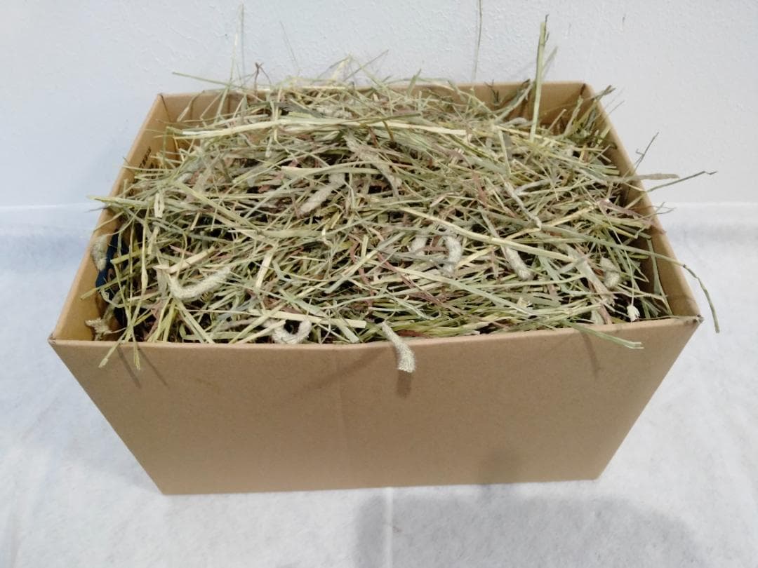 【12/30まで】 カナダ産 チモシー 30kg スーパープレミアム １番刈り