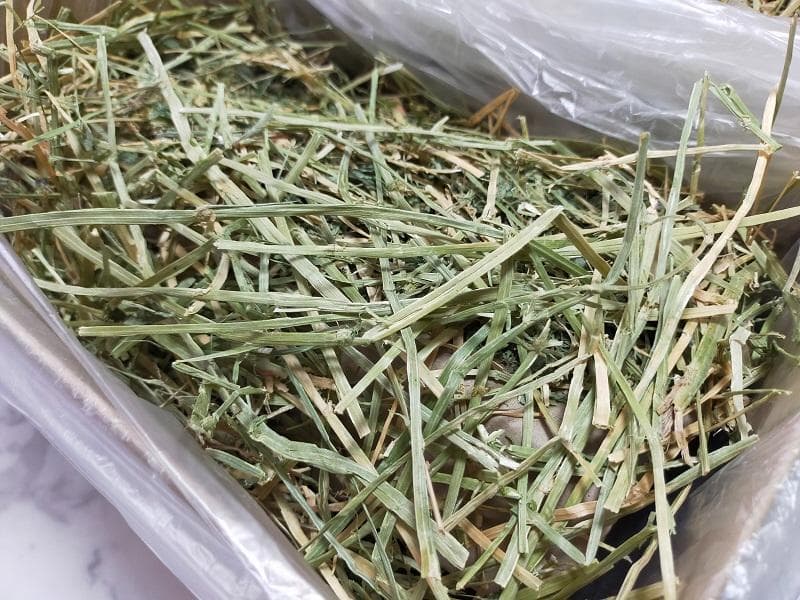 【12/30まで】 カナダ産 チモシー 30kg スーパープレミアム １番刈り