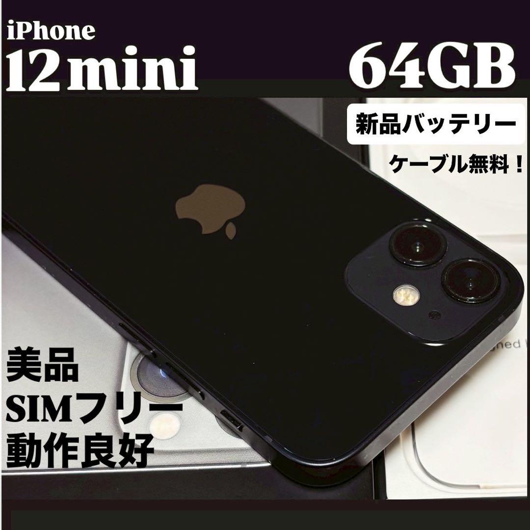 【動作良好】iPhone 12 mini 64GB ブラック　SIMフリー　本体