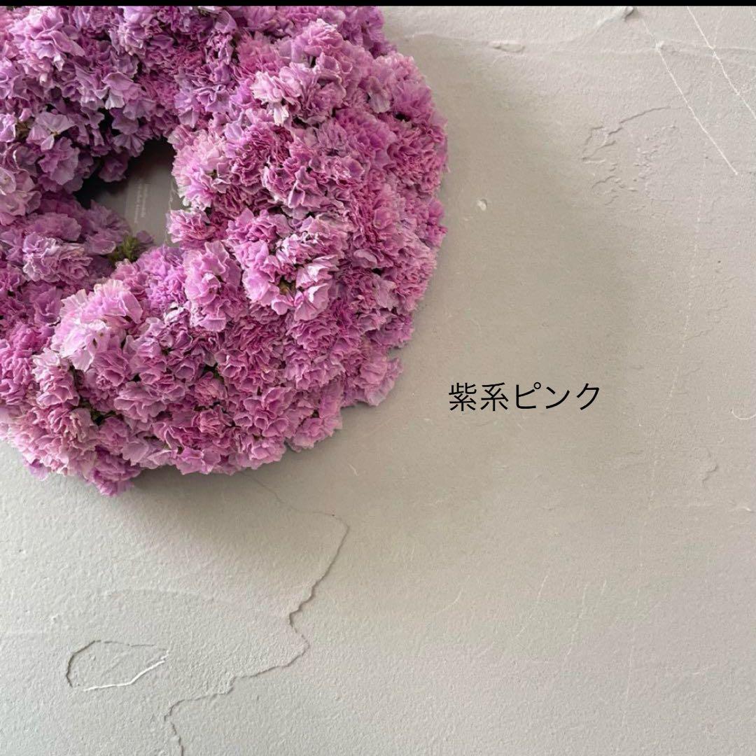 スターチス色味参考画像