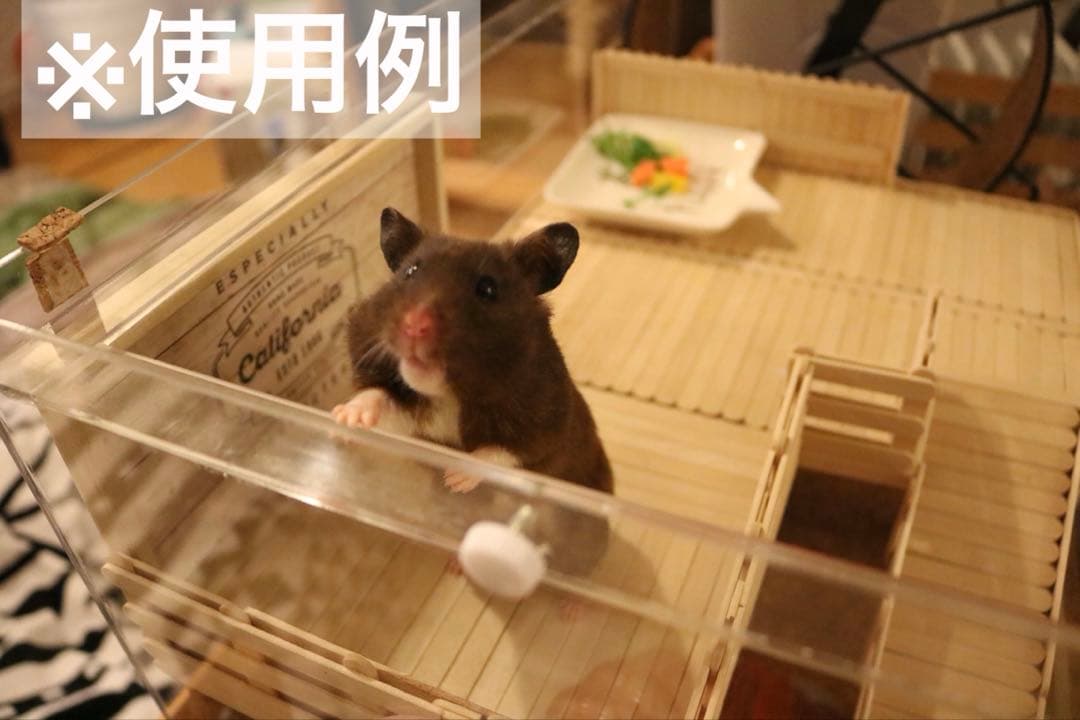 ねくすとショップ　ハムスター用　アクリルケージ　三角屋根　60センチ