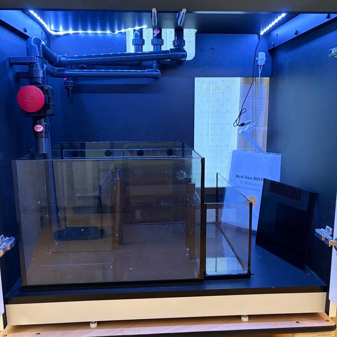 【引き取り限定】【東京都西東京市】RedSea REEFER300 G1