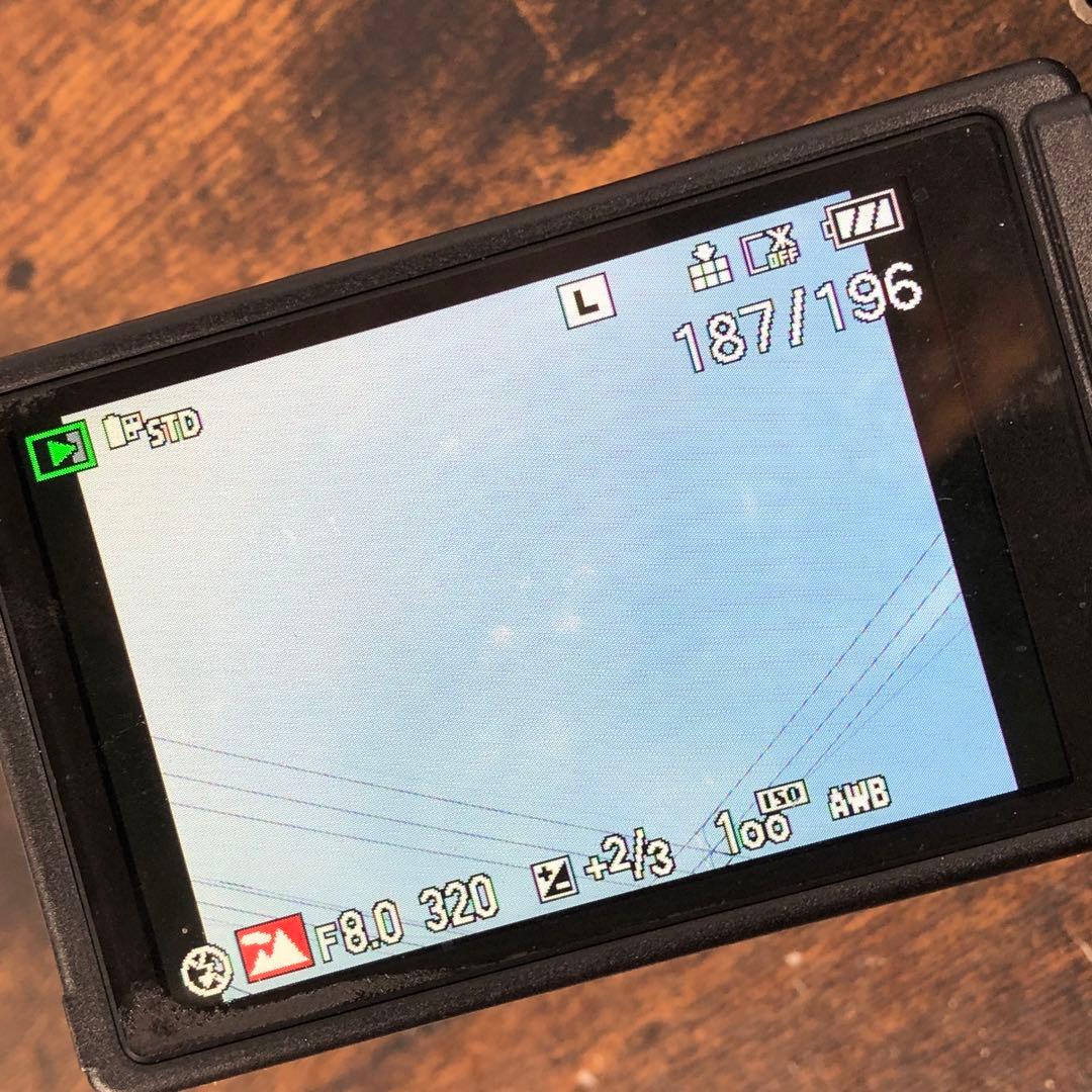 動作確認済 Panasonic LUMIX DMC-G1 ブラック