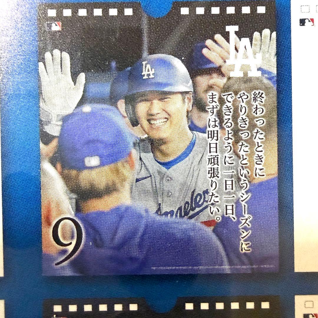 【極・5個セット】大谷翔平の哲学を習慣に。31日万年日めくりカレンダー｜