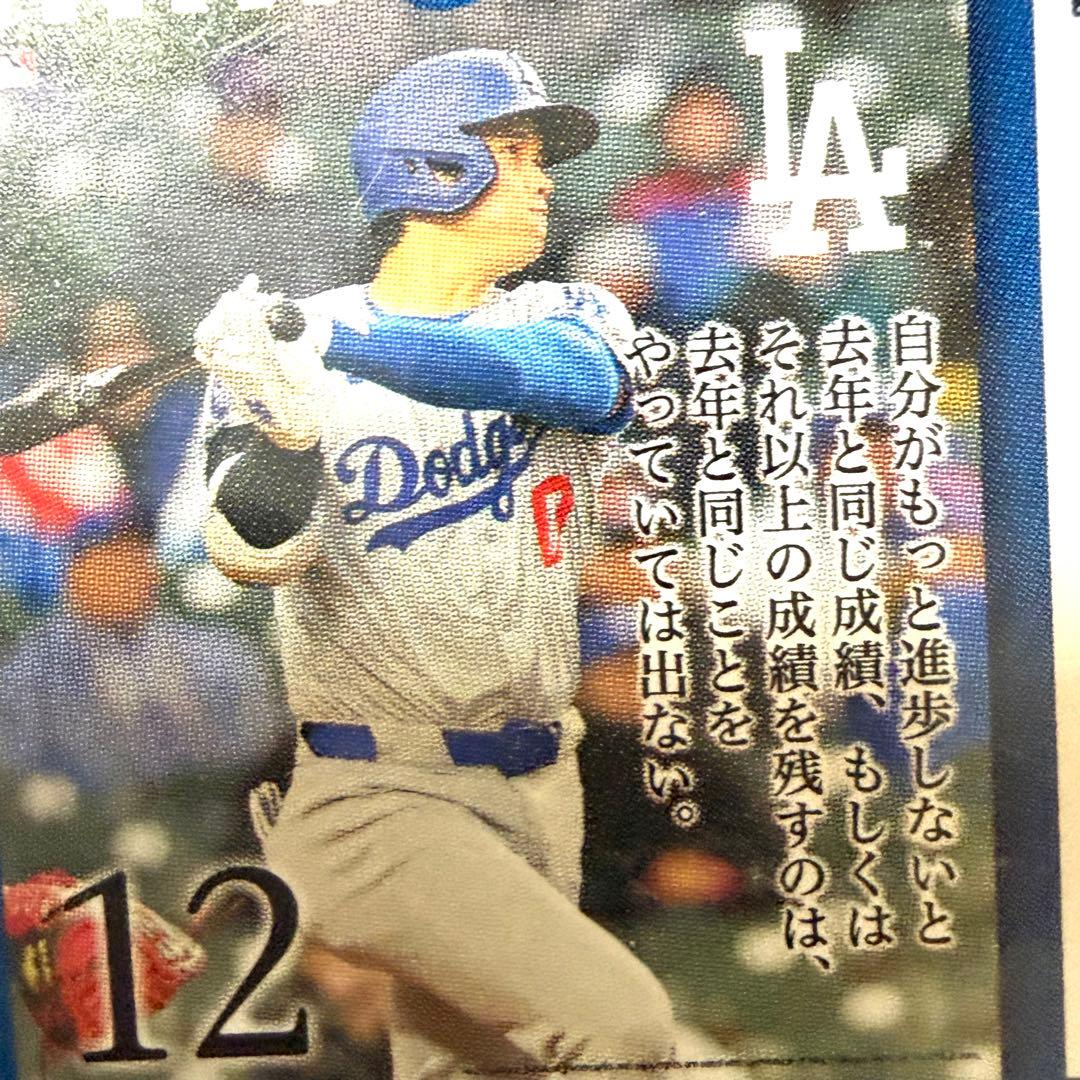 【極・5個セット】大谷翔平の哲学を習慣に。31日万年日めくりカレンダー｜