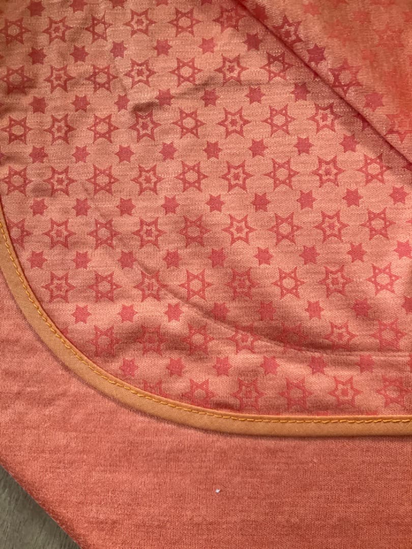 ラジャスシールド　オレンジ