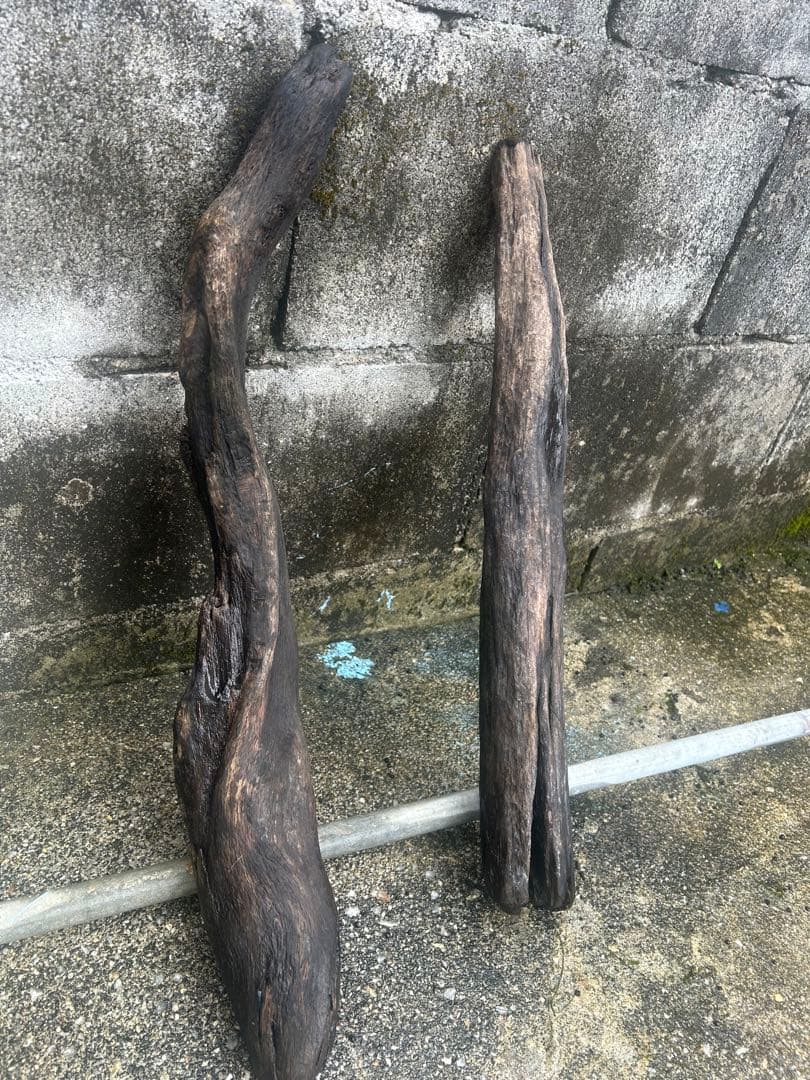 流木 2本セット