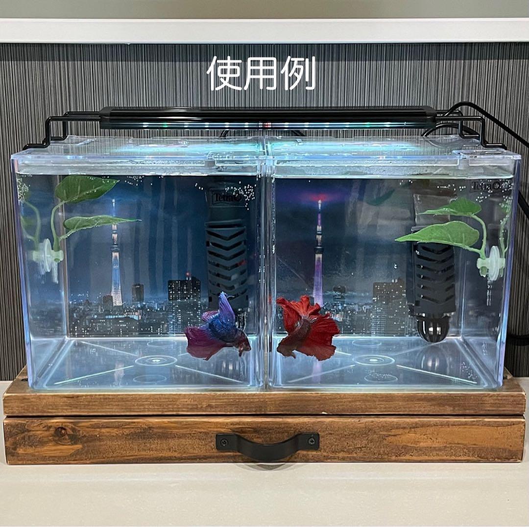 熱帯魚 ベタ 飼育セット 水槽
